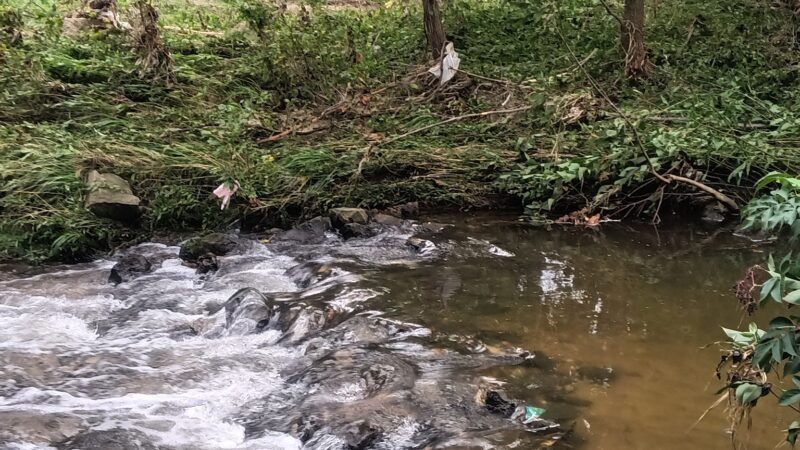 McLoud Run Park - Cedar Rapids, IA
