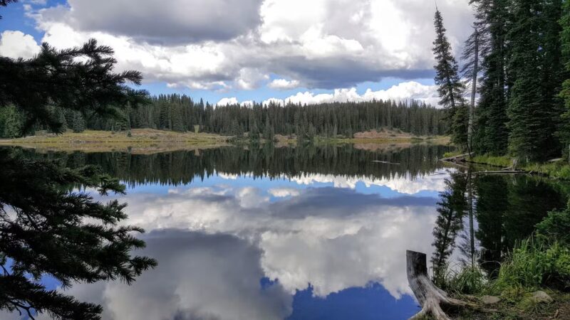 Big Creek Campground - Cedaredge, CO