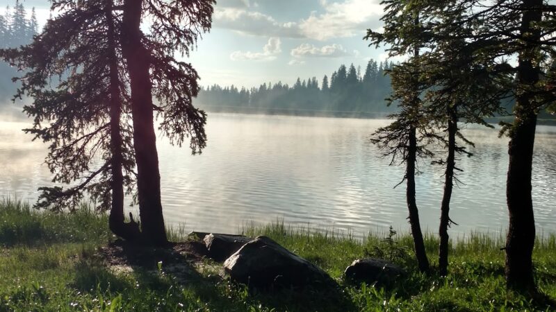 Big Creek Campground - Cedaredge, CO