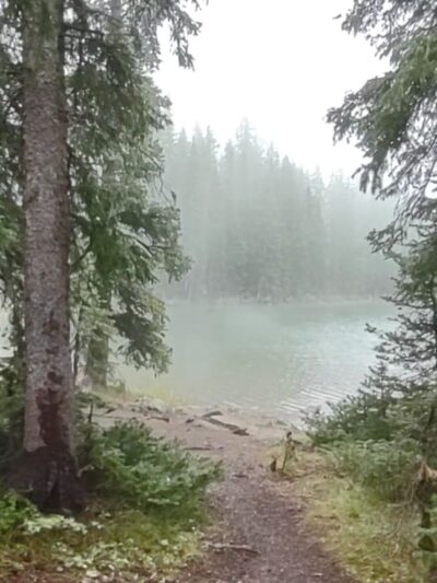 Cobbett Campground - Cedaredge, CO