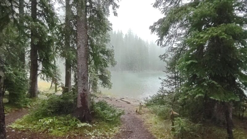 Cobbett Campground - Cedaredge, CO