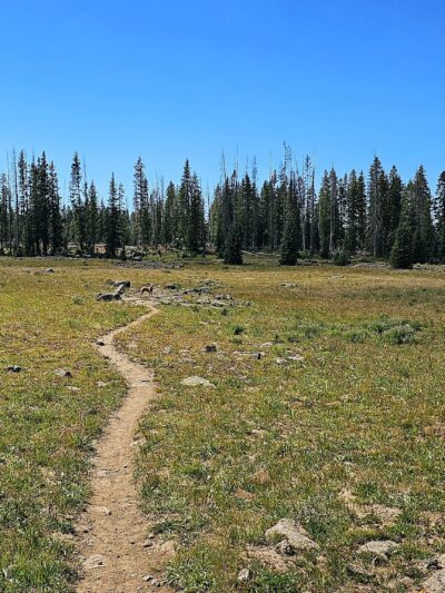 Mesa Top Trailhead - Cedaredge, CO
