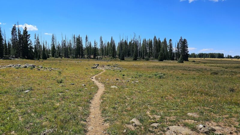 Mesa Top Trailhead - Cedaredge, CO