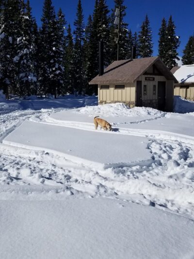 Mesa Top Trailhead - Cedaredge, CO