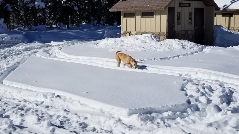 Mesa Top Trailhead - Cedaredge, CO