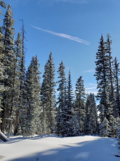 Mesa Top Trailhead - Cedaredge, CO
