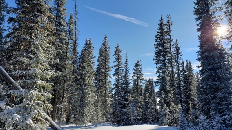 Mesa Top Trailhead - Cedaredge, CO
