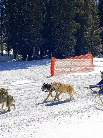 Mesa Top Trailhead - Cedaredge, CO