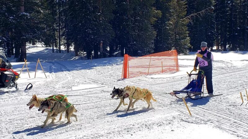 Mesa Top Trailhead - Cedaredge, CO