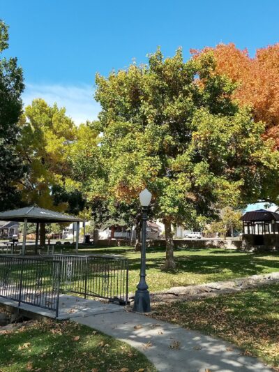 Cedaredge Town Park - Cedaredge, CO