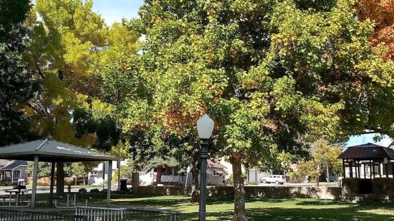 Cedaredge Town Park - Cedaredge, CO