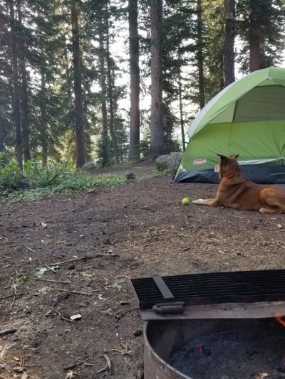 Crag Crest Campground - Grand Valley RD - Cedaredge, CO