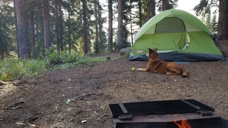 Crag Crest Campground - Grand Valley RD - Cedaredge, CO