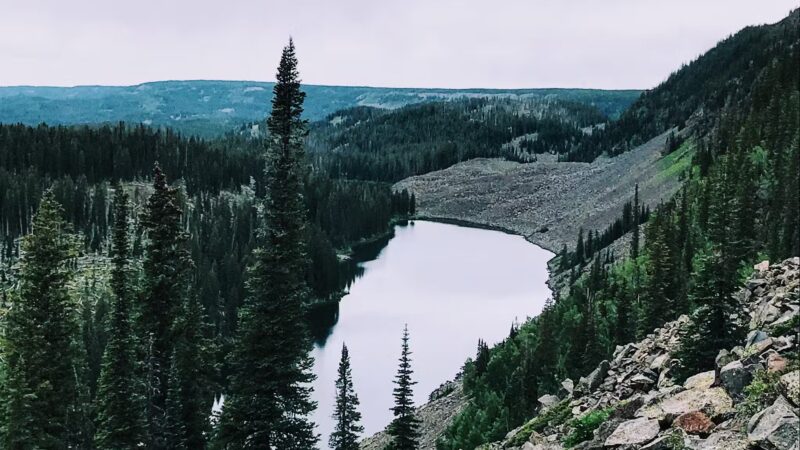 Crag Crest Trail - Cedaredge, CO