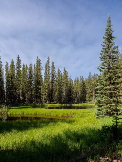 Crag Crest Trail - Cedaredge, CO