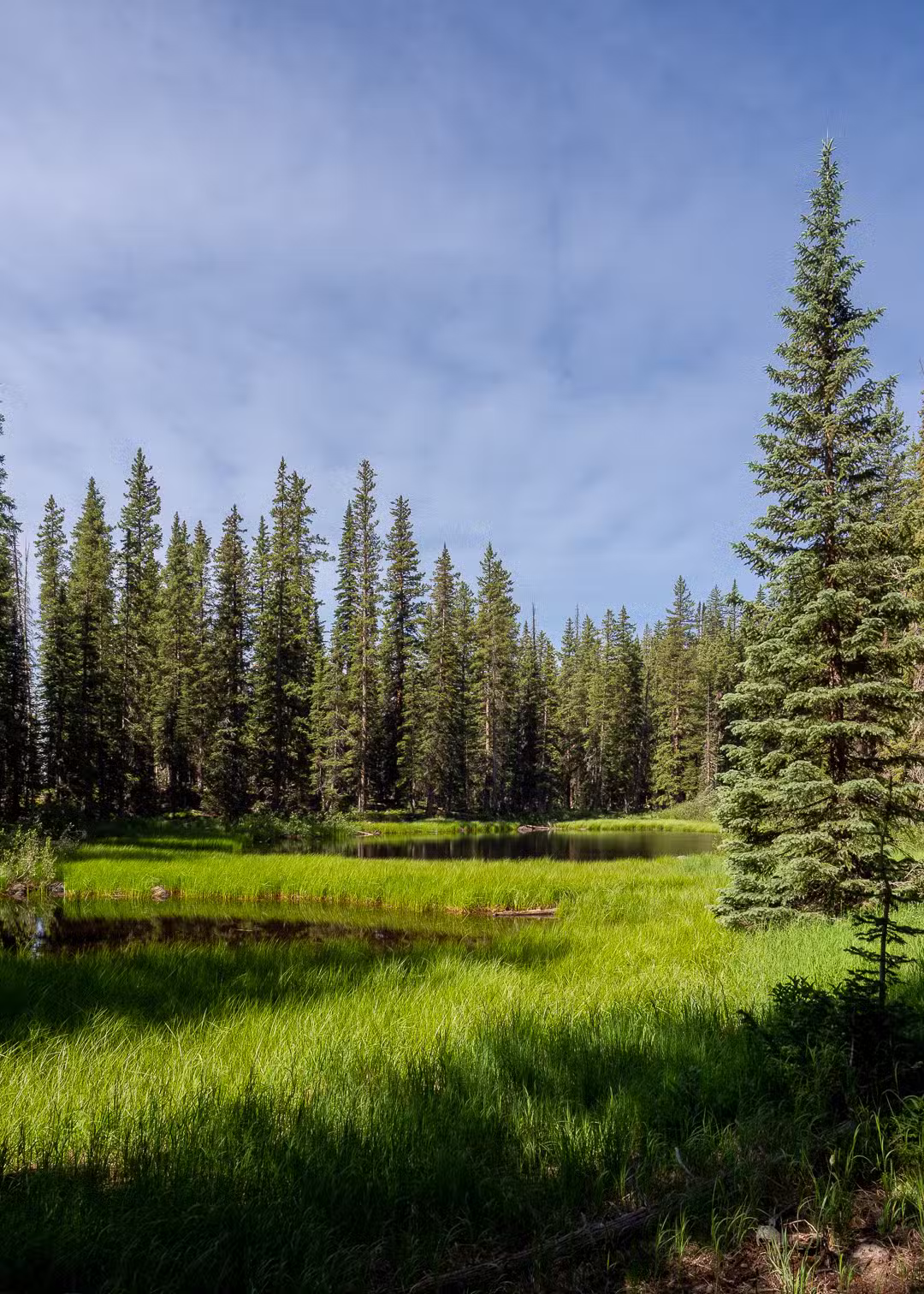 Crag Crest Trail - Cedaredge, CO
