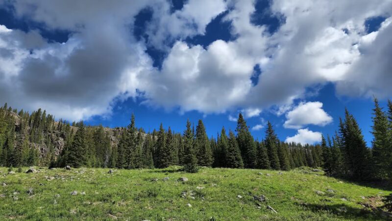 Crags Crest Trailhead - Cedaredge, CO