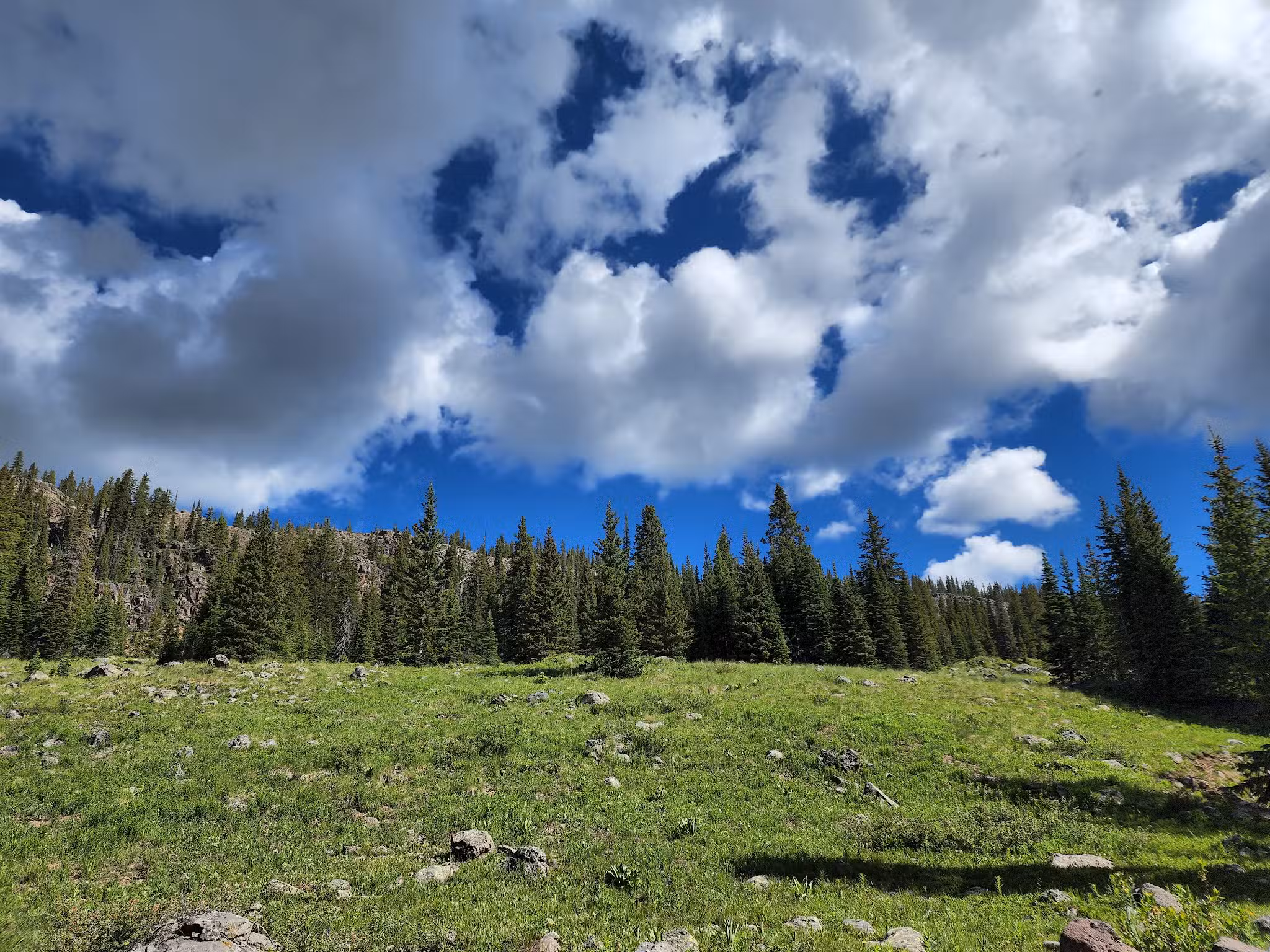 Crags Crest Trailhead - Cedaredge, CO