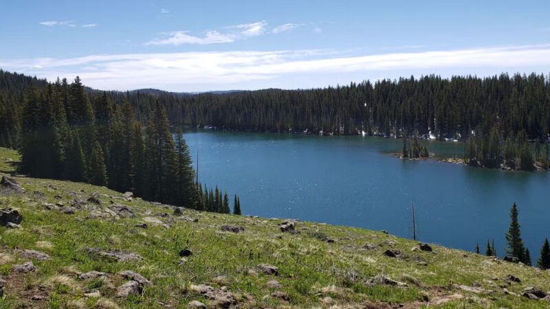 Crags Crest Trailhead - Cedaredge, CO