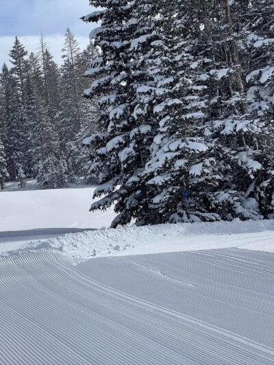 Skyway Ski Trailhead - Cedaredge, CO