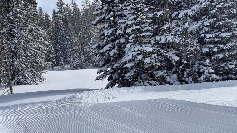 Skyway Ski Trailhead - Cedaredge, CO