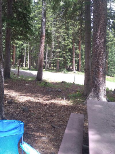 Ward Lake Campground - Grand Valley RD - Cedaredge, CO