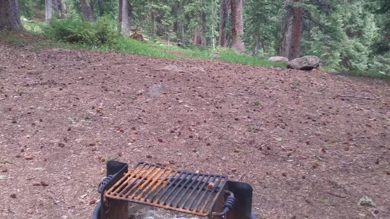 Ward Lake Campground - Grand Valley RD - Cedaredge, CO