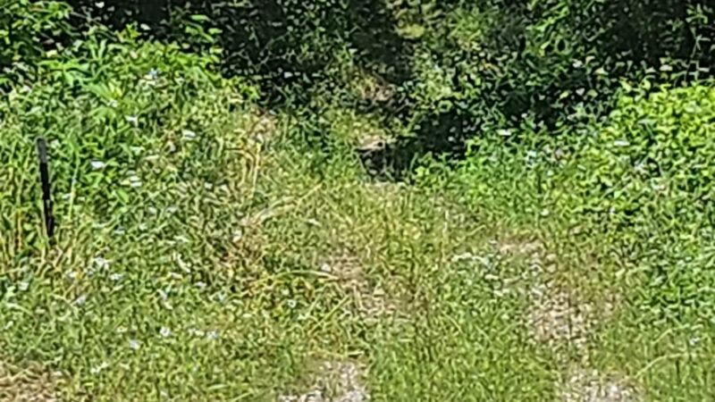 Chapparal Bike Trail - Celeste, TX