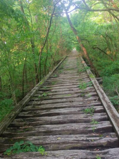 Chapparal Bike Trail - Celeste, TX