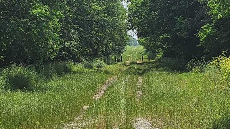 Chapparal Bike Trail - Celeste, TX