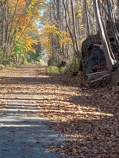 Upper Saucon Township Community Park - Center Valley, PA