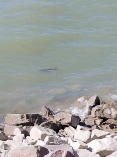 Barger Park - Chamberlain, SD