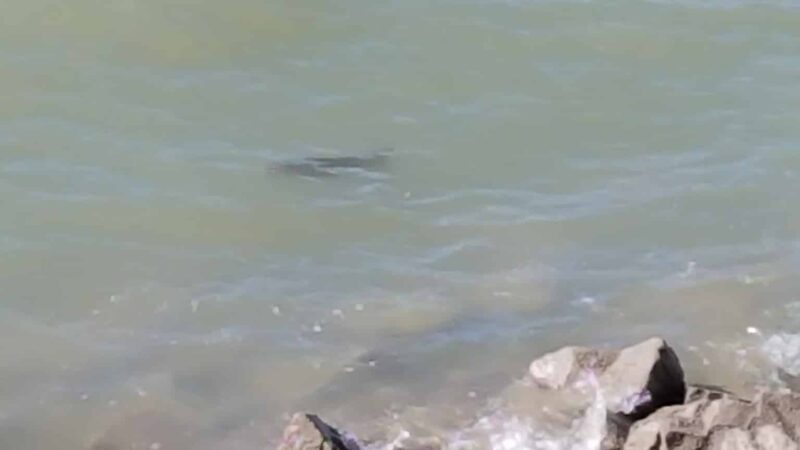 Barger Park - Chamberlain, SD