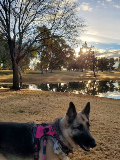 Hoopes Park - Chandler, AZ