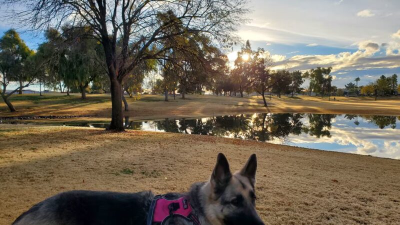 Hoopes Park - Chandler, AZ