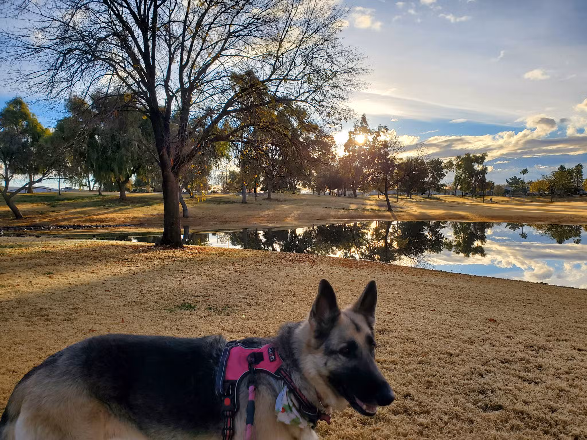 Hoopes Park - Chandler, AZ