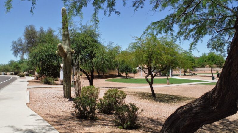 Jackrabbit Park - Chandler, AZ