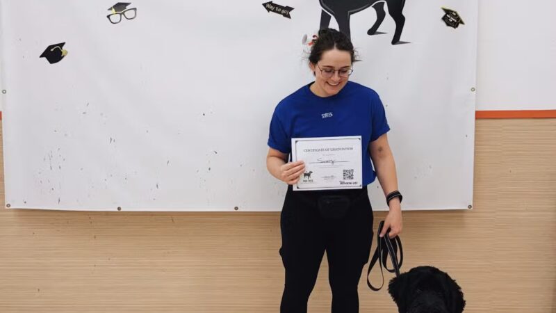 Mak Pack Dog Training & Boarding - Chandler, AZ