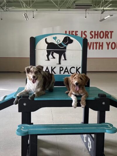 Mak Pack Dog Training & Boarding - Chandler, AZ