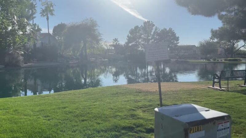 Pecos Ranch Park - Chandler, AZ
