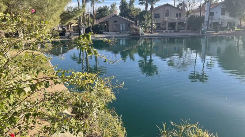 Pecos Ranch Park - Chandler, AZ