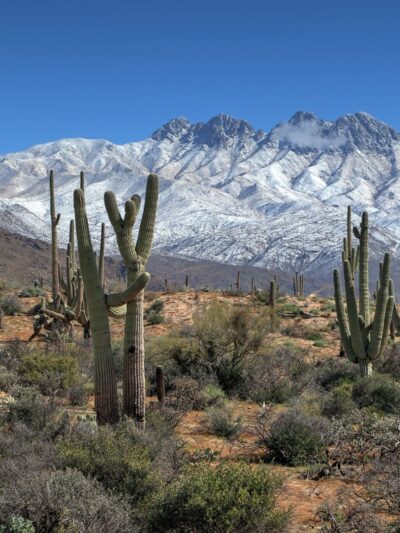 Tonto National Forest - Chandler, AZ