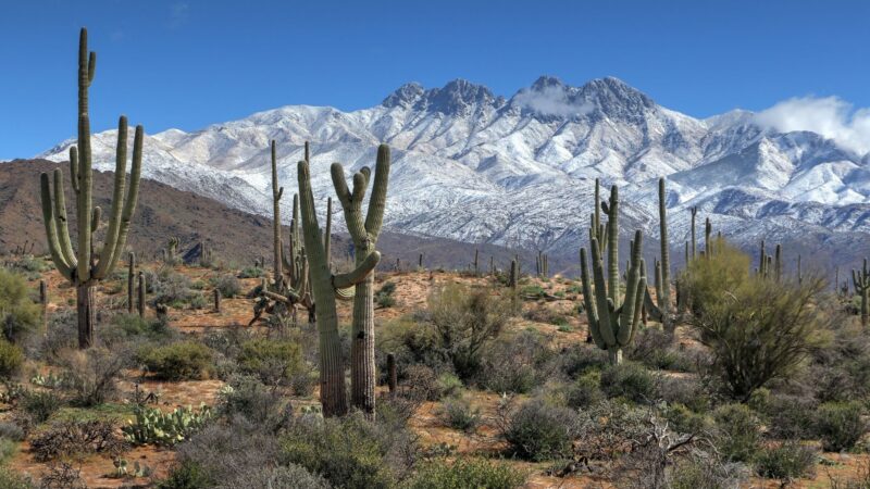 Tonto National Forest - Chandler, AZ