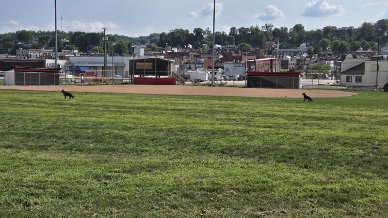 Charleroi Community Park - Charleroi, PA