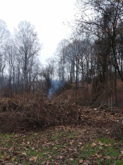 Speers Community Park - Charleroi, PA