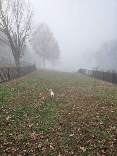 Cato Dog Park - Charleston, WV