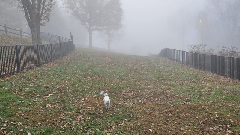 Cato Dog Park - Charleston, WV