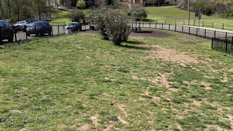 Cato Dog Park - Charleston, WV