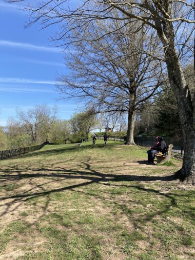 Cato Dog Park - Charleston, WV