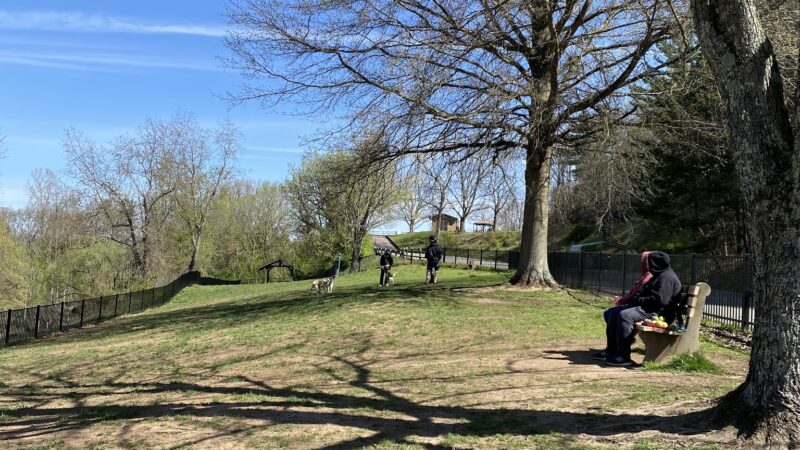 Cato Dog Park - Charleston, WV